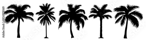 Black and white silhouette illustration of coconut palm trees in a horizontal row, featuring clean detailed fronds and trunks on transparent background for tropical design themes