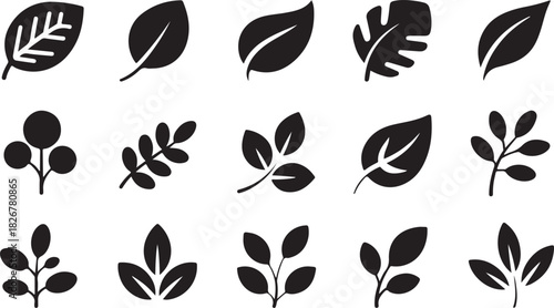 Fifteen different leaf silhouette icons present a comprehensive natural flora set on a transparent background