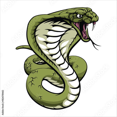 Aggressive Cobra Snake With Open Hood