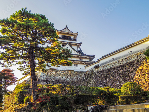 Wallpaper Mural 【高知県】高知市・高知城 Torontodigital.ca