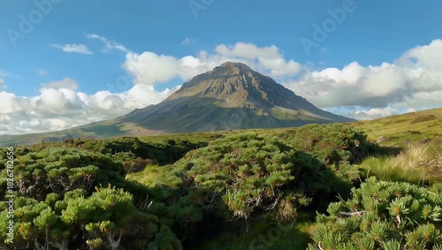 Wide angle 4K landscape footage of Ben Loyal Sutherland on a bright sunny day with blue skies and gently swaying bushes in the foreground perfect for scenic nature or outdoor stock video projects