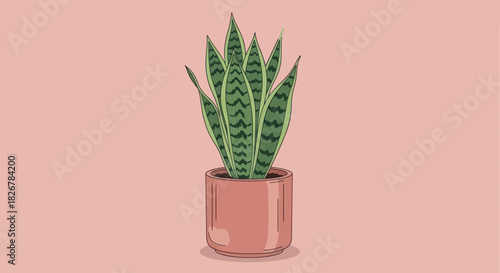 Stylized snake plant in a terracotta pot on a minimal pink background