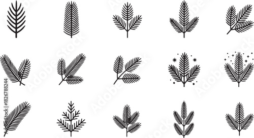 A set of black and white line art illustrations of various types of leaves, including pine, palm, and fern, arranged in a grid pattern.