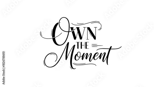 Own the Moment inspirational lettering design for motivational posters and social media, encouraging positive vibes and seizing opportunities today