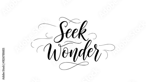 Inspirational seek wonder quote art in elegant calligraphy lettering for posters and creative designs, inspiring exploration and discovery