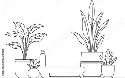 Minimalist line art of potted plants and a bottle on a shelf in a bright room