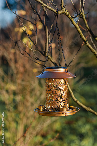 decorative bird feeder garden spring care tree outdoor eco wildlife support