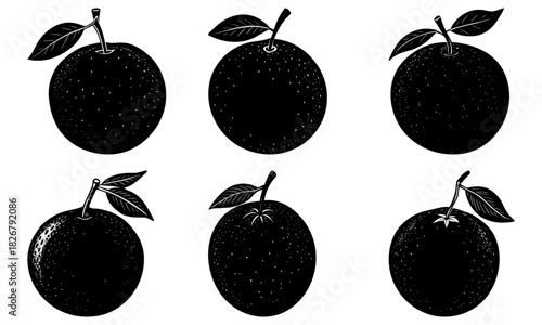 Fresh citrus delight: Black and white oranges with leaves for healthy eating, vibrant juice, and a taste of summer sweetness, vector art