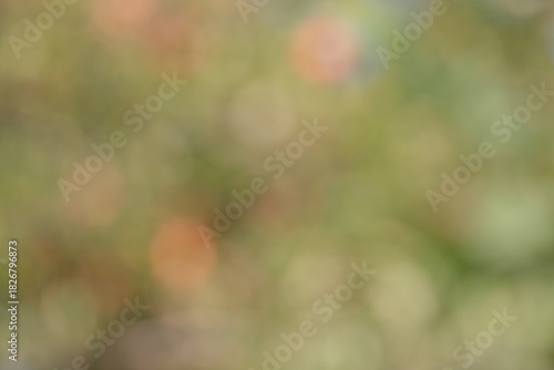 Natural defocus lights green and orange as background.