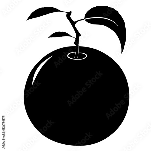 ORANGE SILHUETTE BLACK AND WHITE