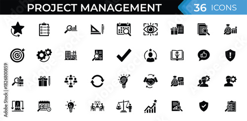 Project management glyph icon set. Vector pictograms of planning tasks, goals, workflow steps, analytics, teamwork, strategy elements, performance metrics and business illustration