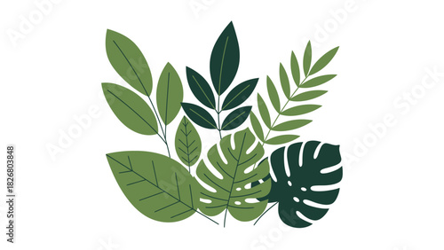 Collection of Various Green Tropical Leaves Arranged Artistically.
