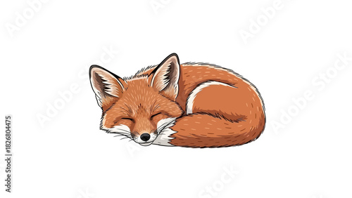 Cute red fox sleeping peacefully curled up in a ball.