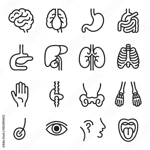 Collection of black line art icons representing human organs and body parts brain stomach