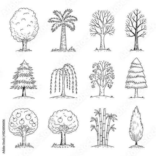 Collection of twelve hand drawn black and white trees and bamboo plants vector