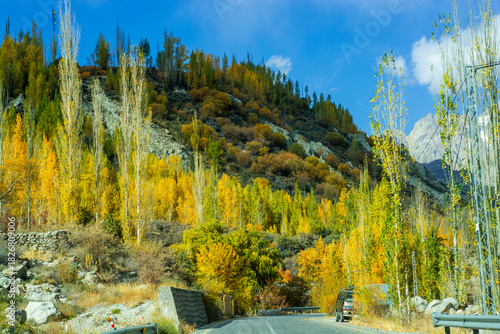 Golden autumn trees glow under soft mountain light as they stretch along the legendary Karakoram Highway, cutting through the breathtaking landscapes of Hunza Valley, with towering peaks rising in the