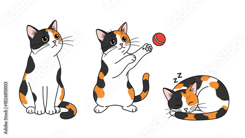 Three adorable calico cats in various poses sitting playing and sleeping.