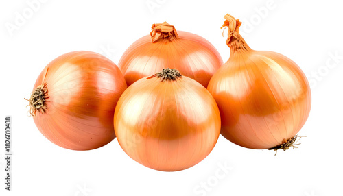 Wallpaper Mural Four round, golden-brown onions arranged on a dark backdrop, with natural highlights Torontodigital.ca