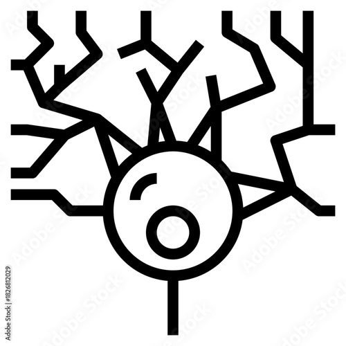 Neuron Cell Structure