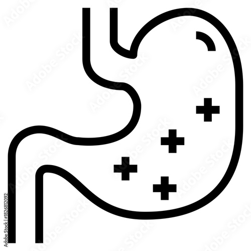 Healthy Stomach Digestion