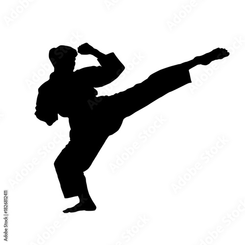 Silhouette of a martial artist performing a side kick in a defensive stance