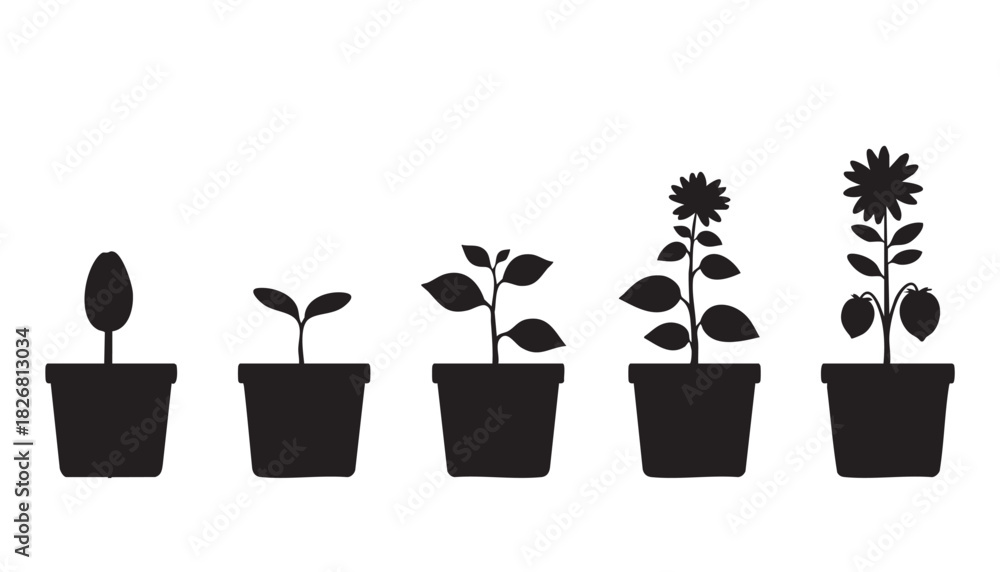 Fototapeta premium Plant Growth Stages Silhouette Vector for World Soil Day
