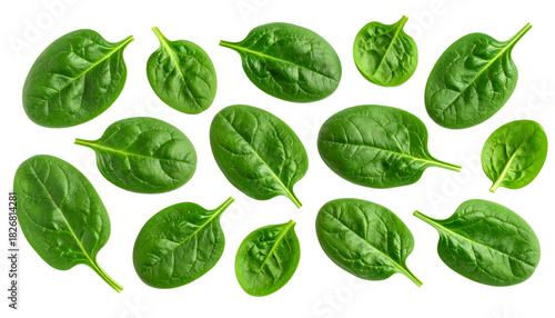 Fresh, vibrant spinach leaves scattered against a stark black background, showcasing texture