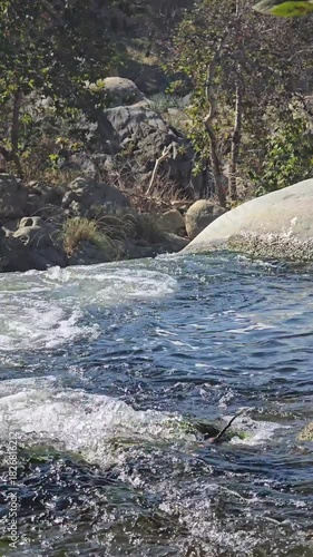 A serene river flowing over rocks surrounded by lush greenery.