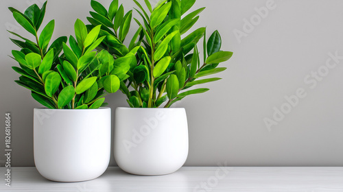 Close-Up of Green Foliage i...