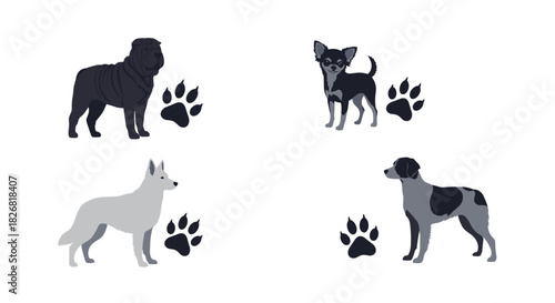 Four dogs of different breeds and colors, each with paw prints, on a white background.