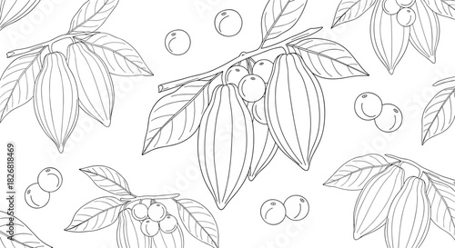 Seamless pattern of cocoa pods and berries with leaves in a line art style.