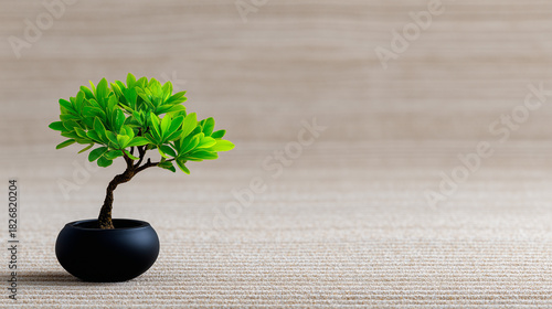 Traditional Japanese Zen Ga...