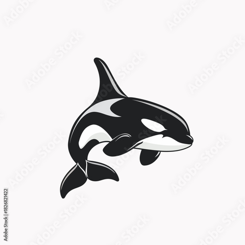 Vibrant cartoon killer whale illustration. Graphic isolated black and white orca aquatic animal design element.
