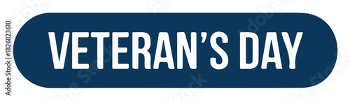 Veterans Day banner blue button with text for patriotic holiday celebration and honoring military veterans
