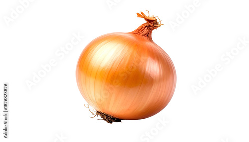 Wallpaper Mural A whole, golden-brown onion, isolated against a black background Torontodigital.ca