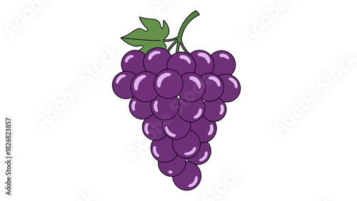 Vibrant Purple Grapes - A Fresh and Juicy Fruit Delight.