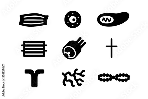 Cellular Structure Icons. Cellular structure. Solid icon set of Cellular structure: muscle cell, nucleus, mitochondria, cytoplasm, sarcolemma, myofibril,