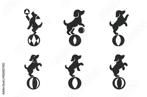 Circus Animal Logos. Circus animals and animal performances. Icon set. Set Logo of circus animals and animal performances: trained dog act. harmonious logo