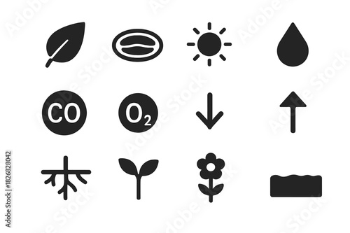 Chlorophyll Process Icons. Chlorophyll process. Solid icon set of Chlorophyll process: leaf, chloroplast, sun, water droplet, carbon dioxide, oxygen, roots,