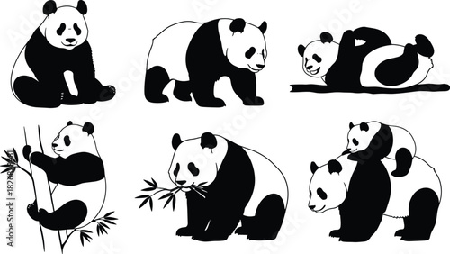 Cute Giant Panda Bears Vector Illustration Set in Various Poses, Including Eating Bamboo and Playing with Cub, for Nature and Wildlife Designs