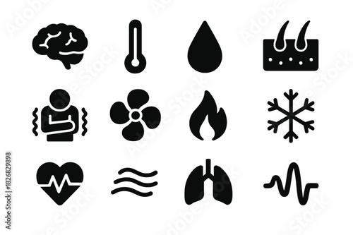 Heat Regulation Icons. Heat regulation system. Solid icon set of heat regulation system: brain, thermometer, sweat drop, skin pores, shivering person, fan,