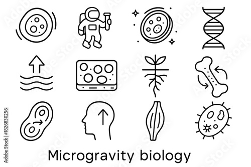 Microgravity Biology Icons. Microgravity biology. Line icon set of microgravity biology: cell floating, astronaut with test tube, Petri dish in space, DNA