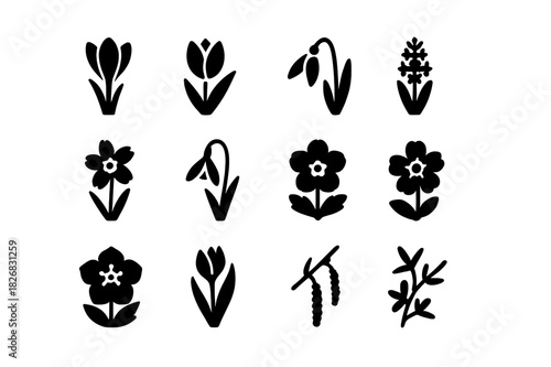 Spring Flora Icons. Spring flora. Solid icon set of Spring flora: crocus, tulip, snowdrop, hyacinth, daffodil, bluebell, anemone, primrose, hellebore, iris,