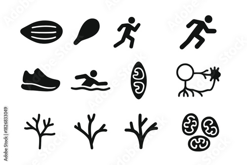 Muscle Fiber Icons. Fiber types. Solid icon set of Fiber types: slow-twitch, fast-twitch, type I fiber, type II fiber, endurance icon, sprint icon, aerobic