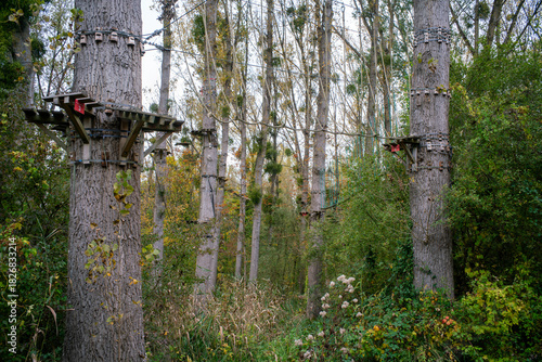 vue d'une forêt à Etampes dans le département de l'Essonne en France