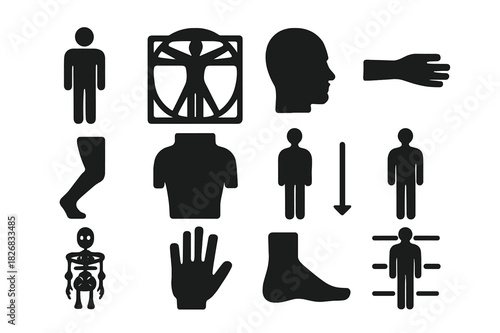Human Proportions Icons. Human proportions. Solid icon set of human proportions: human figure, Vitruvian man, head, arm, leg, torso, measuring line,