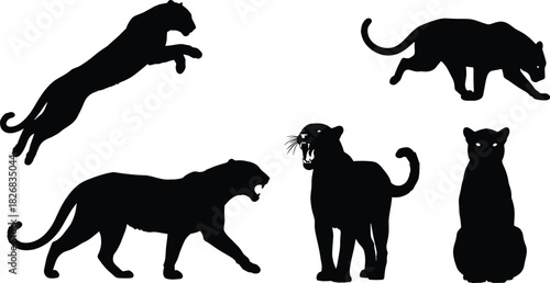 Large Wild Panther or Leopard Silhouette Vector Collection Set in Dynamic Poses, Including Jumping and Roaring, for Big Cat Designs