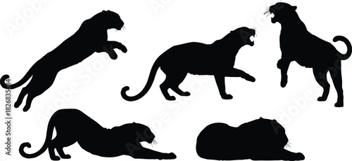 Large Wild Panther or Leopard Silhouette Vector Set, Including Jumping, Roaring, and Resting Poses, for Big Cat and Jungle Designs