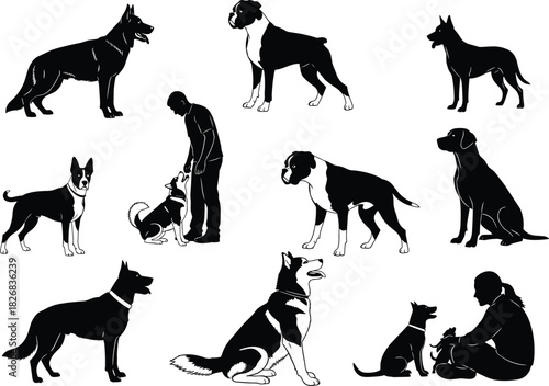 Collection of various domestic dog silhouettes, purebred animals standing, sitting, and interacting 