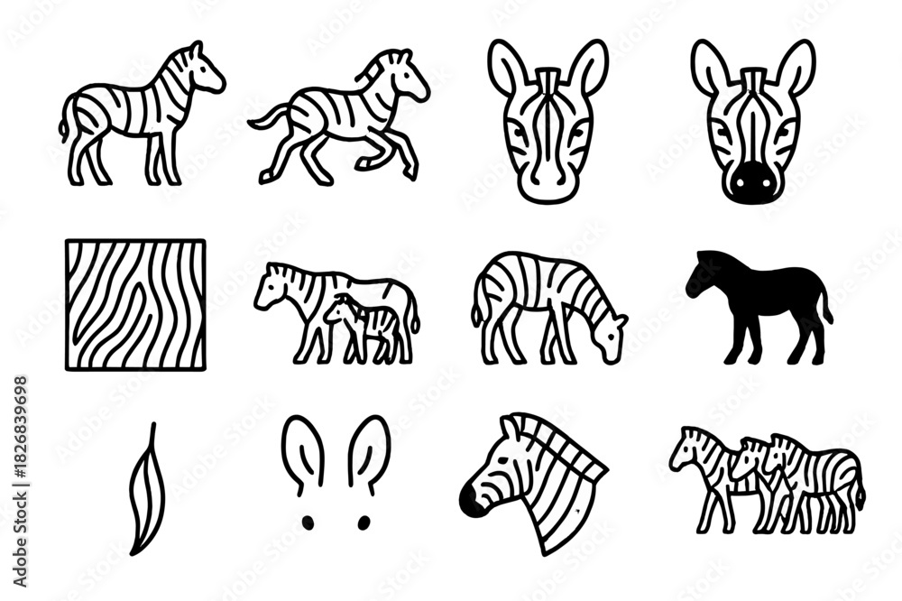 Naklejka premium Zebra Icon Collection. Zebras. Line icon set of Zebras: standing zebra, running zebra, zebra head, zebra face close-up, zebra stripes pattern, zebra with foal,